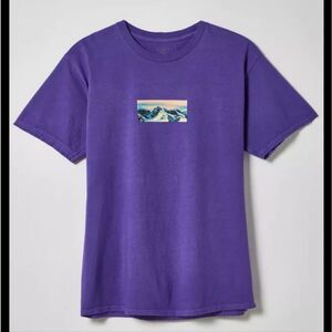 Urban Outfitters V1 Landscape Purple Relaxed Fit Men's Mountains Graphic Tee